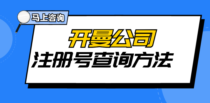 3種方式查詢開曼公司注冊號！詳細(xì)介紹！